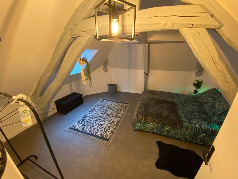 סנס Super Appartement T3 Proche Gare מראה חיצוני תמונה
